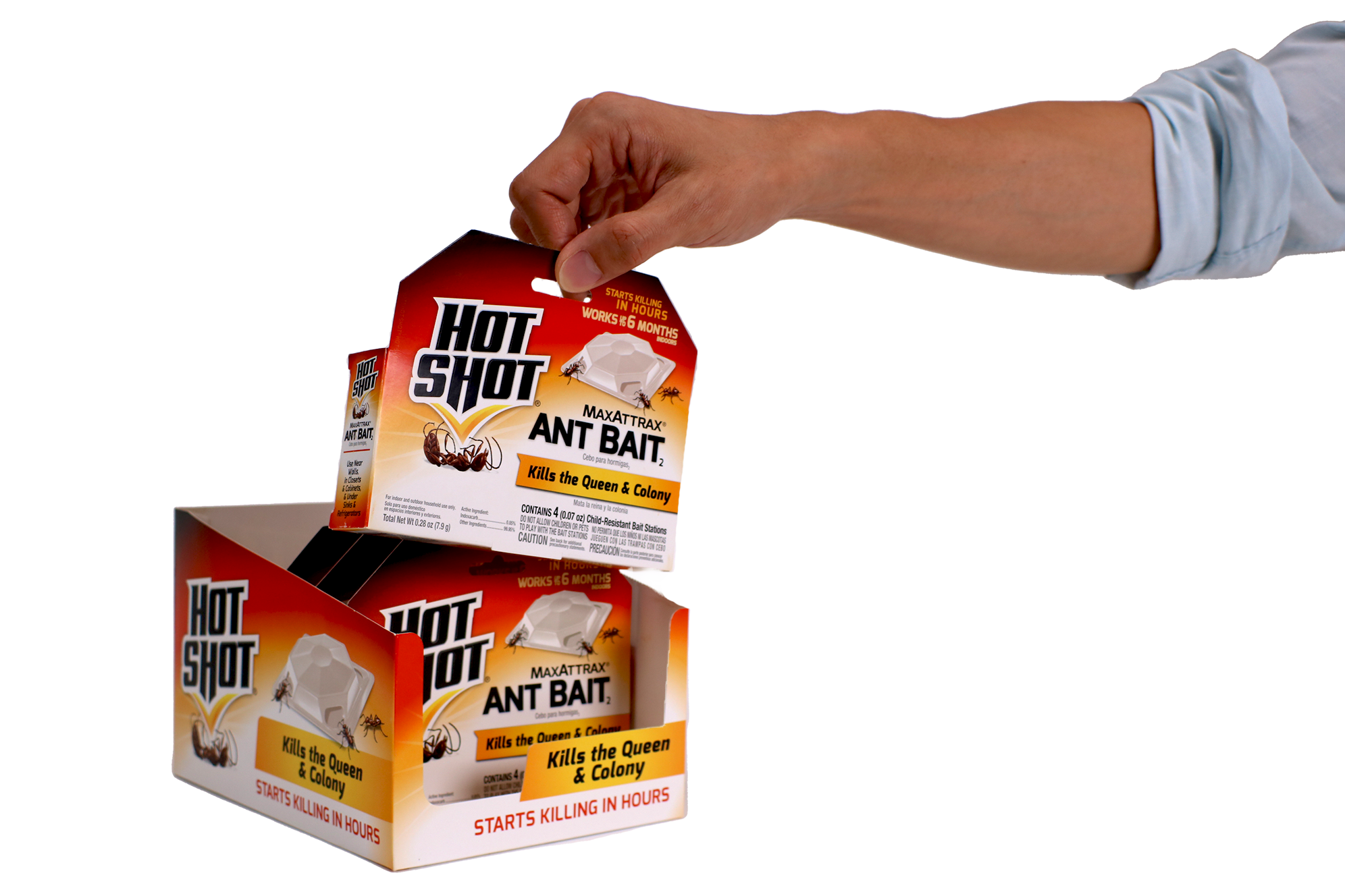 Spectrum Brands Hot Shot Ant Trap Primary Case Study